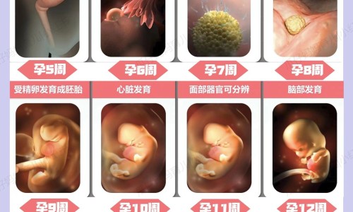 哺乳期巧吃了克力多久可以代谢网-分享哺乳期吃了500克巧克力，哺乳期吃了500克巧克力知识库
